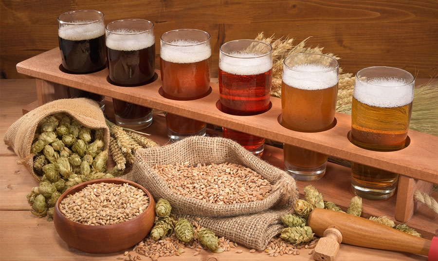 Fun Things to Do in Knoxville: Breweries with Beer Gardens
