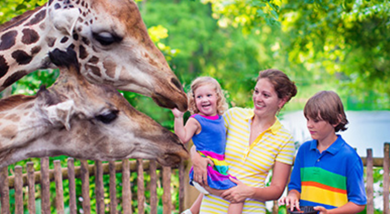Knoxville Zoo at Tennessee